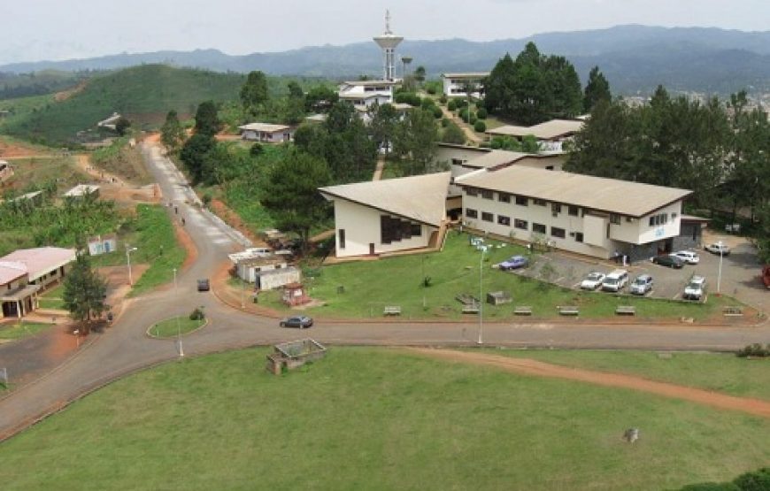 Cameroon Baaka Pygmy Tour