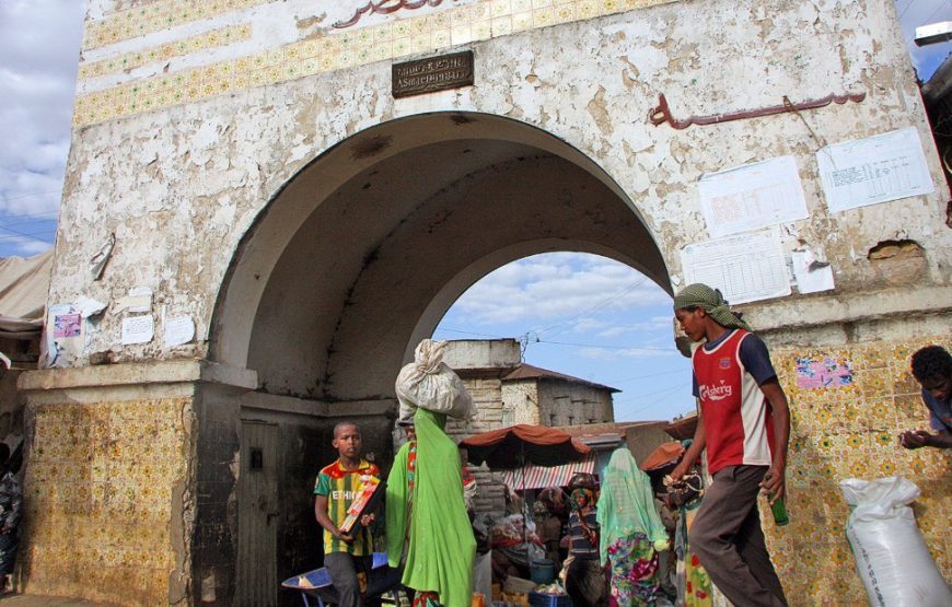 Tour of Ethiopia, Danakil, Harar, Bale and Awash National Park – 10 Days