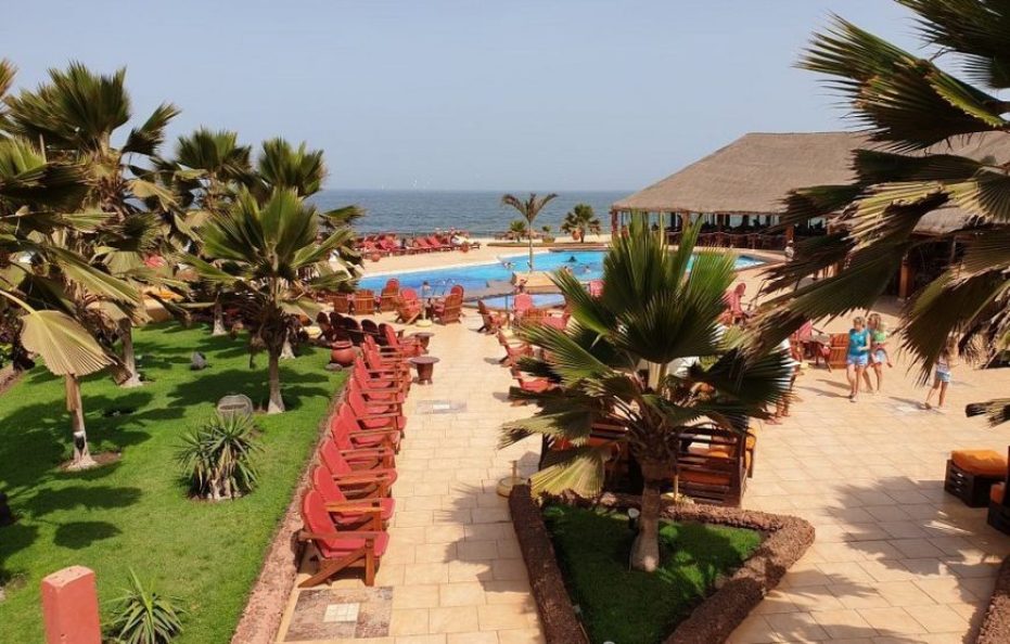 Royal Horizon Baobab