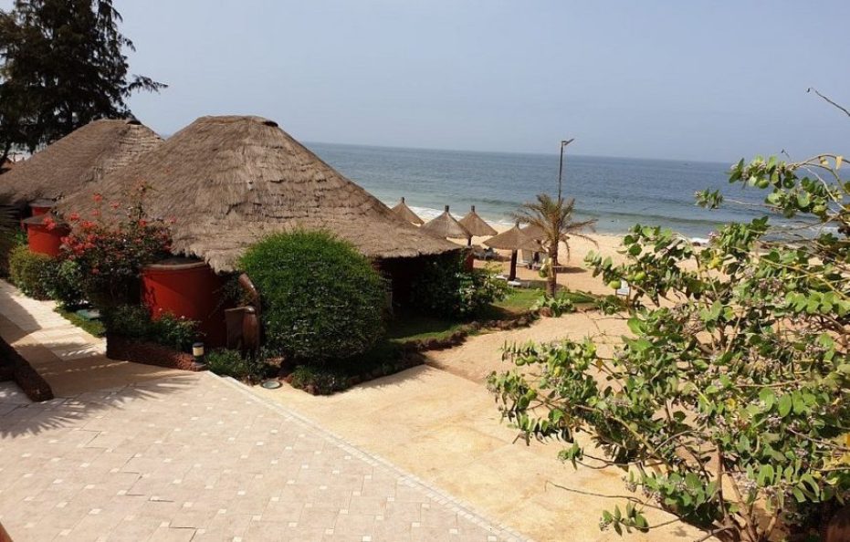 Royal Horizon Baobab