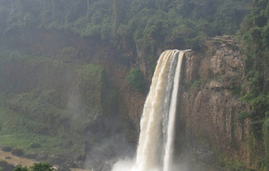 Cameroon Baaka Pygmy Tour