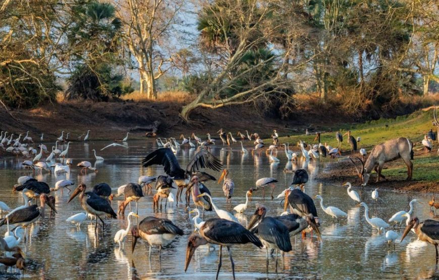 Tour of Mozambique – 5 Days