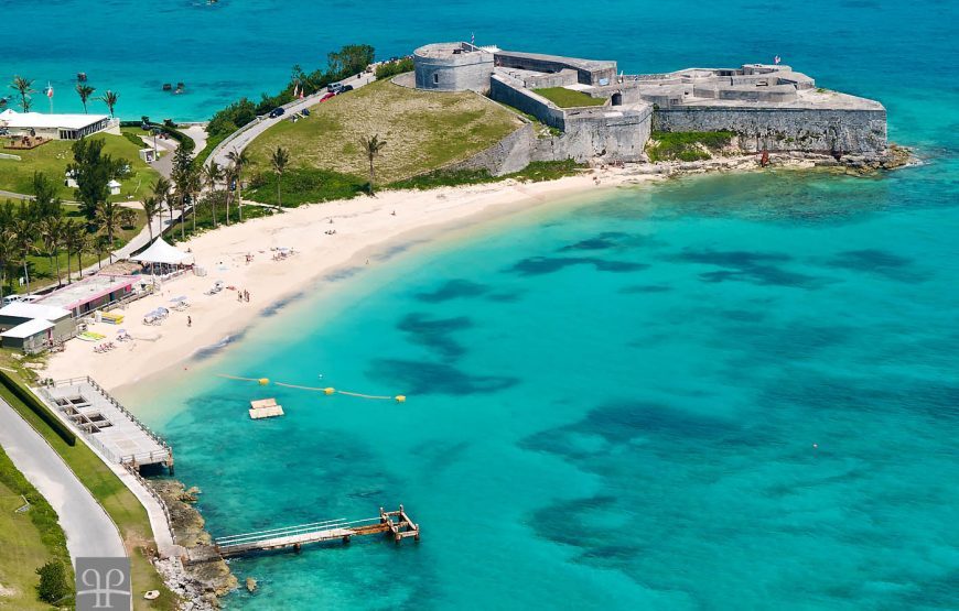 Gabon: Gorillas and More – 5 Days