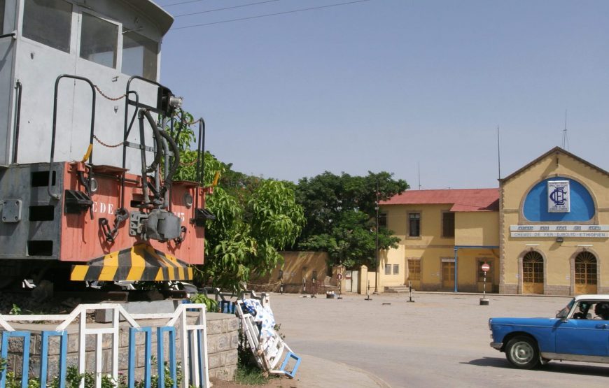 Tour of Ethiopia, Danakil, Harar, Bale and Awash National Park – 10 Days