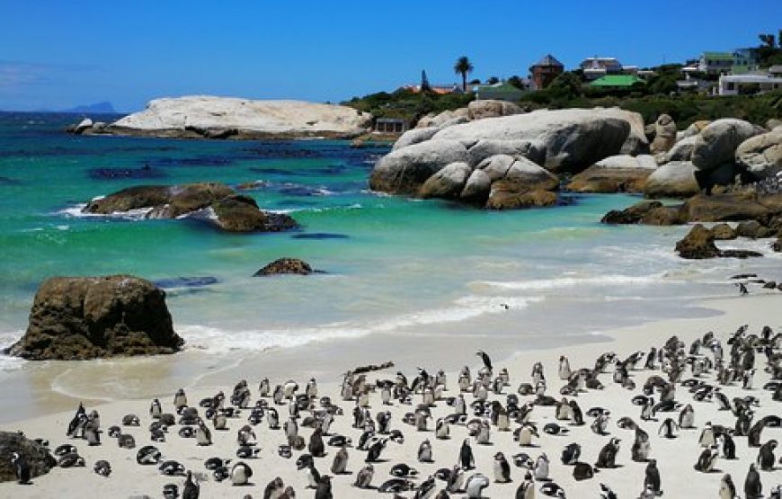 Cultural Tour of South Africa – 9 Days