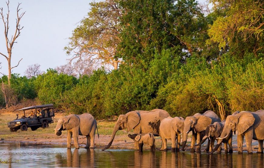 Botswana Jacana Safari –  11 Days