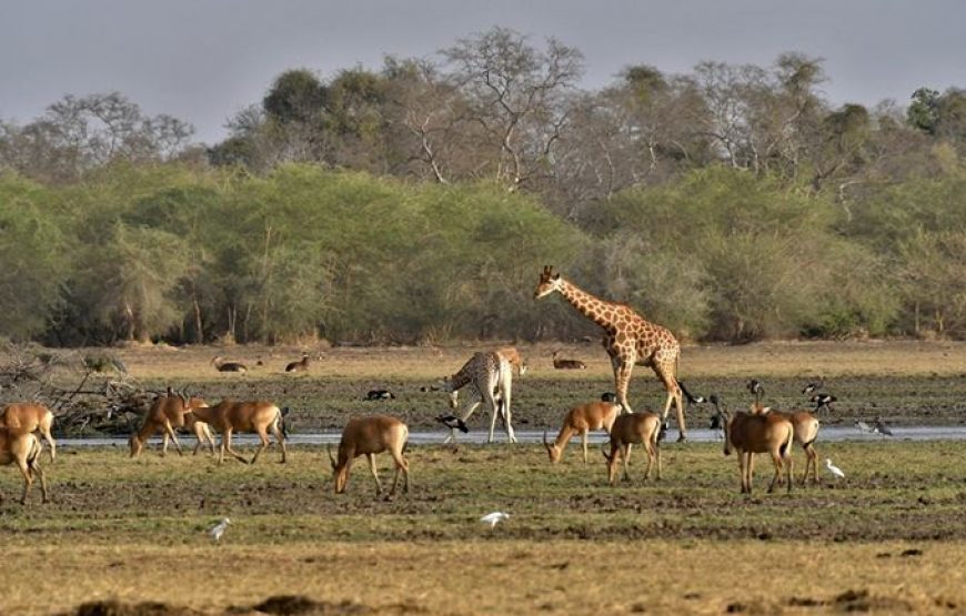 Tour of Chad – 10 Days