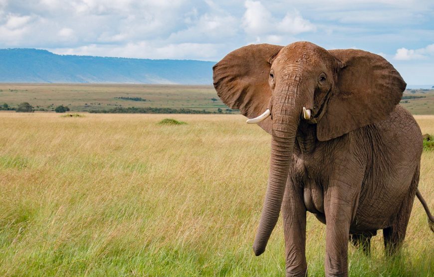 Malawi Tour and Safari – 9 Days