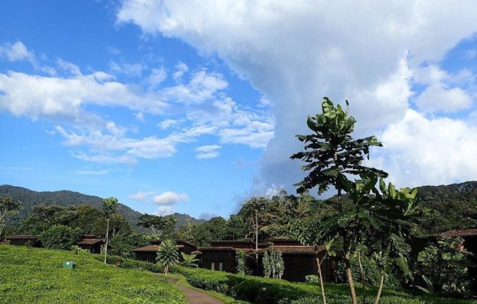 Nyungwe Forest Lodge