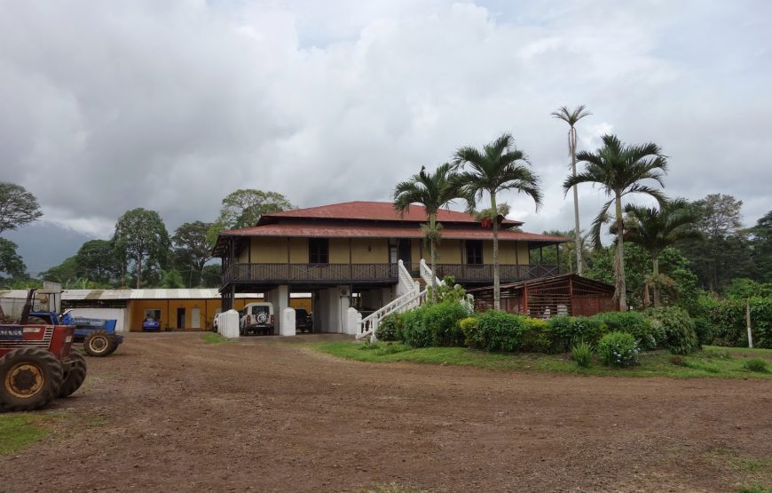 Jewel of Bioko – 7 Days