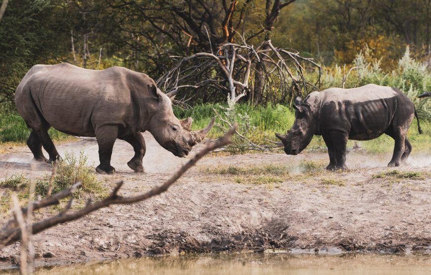 The Best Of Namibia – 14 Days