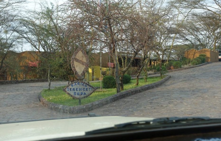 Serengeti Sopa Lodge