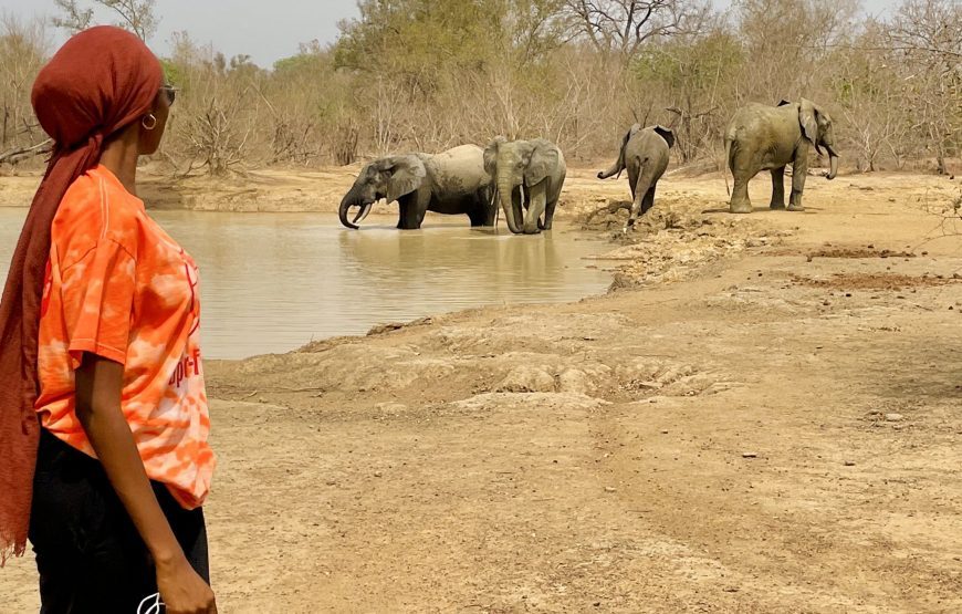 Ghana Wildlife Safari – 3 Days