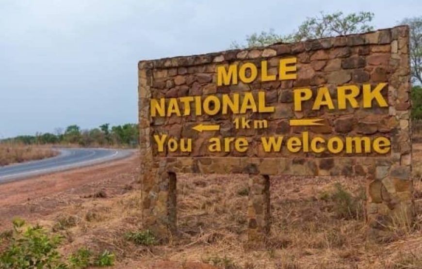 Ghana Wildlife Safari – 3 Days