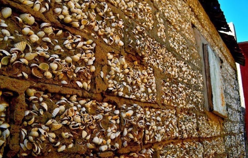 Dak‘Art and Senegal Discovery Tour – 9 Days