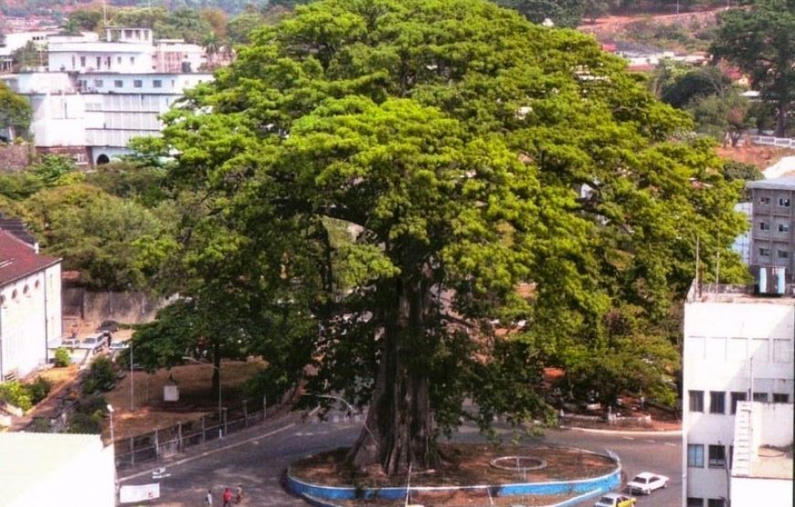 Sierra Leone Cultural and History Tour – 7 Days