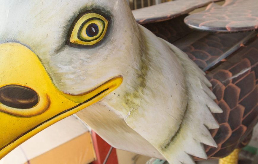 Discover Senegal & Ghana – 12 Days