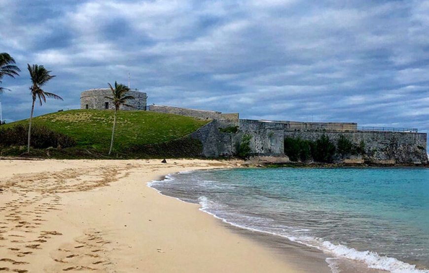 Gabon Gorilla Trekking & Democratic Republic of Congo