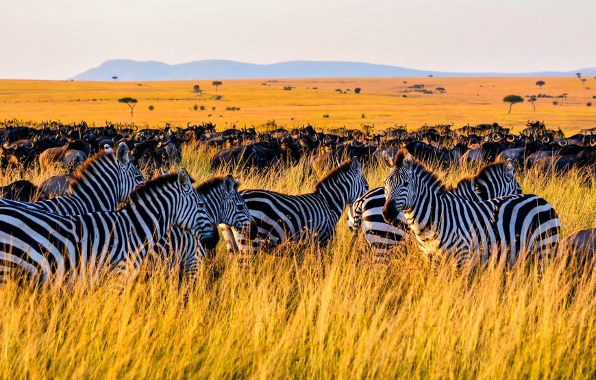 Kenya Big 5 Safari Special, 9 Days