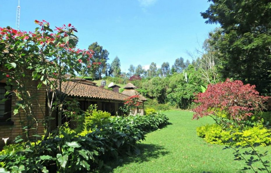 Gisakura Lodge