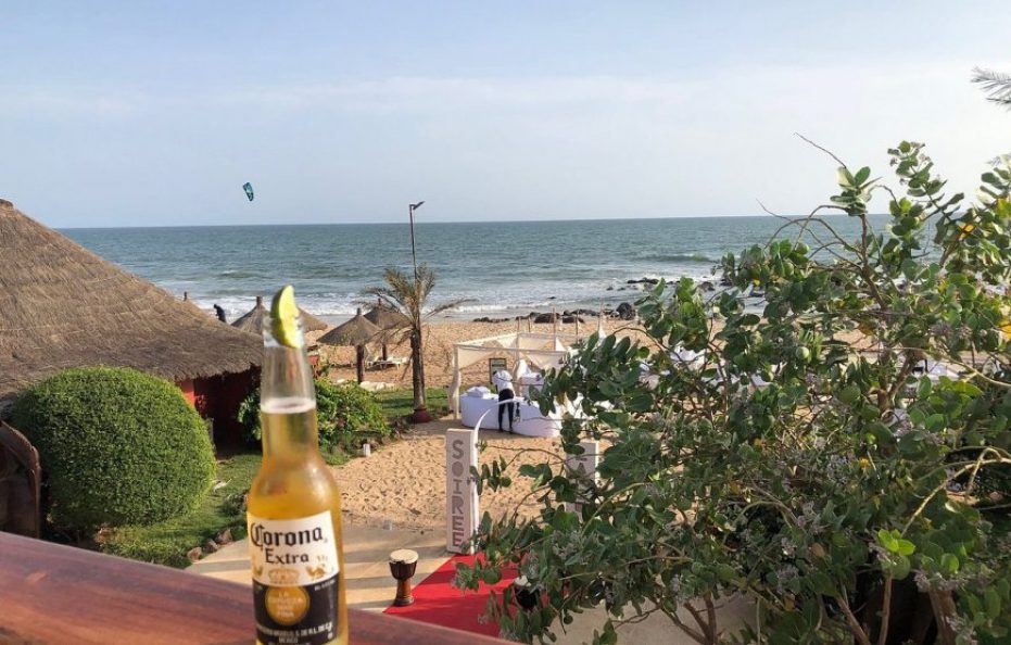 Royal Horizon Baobab