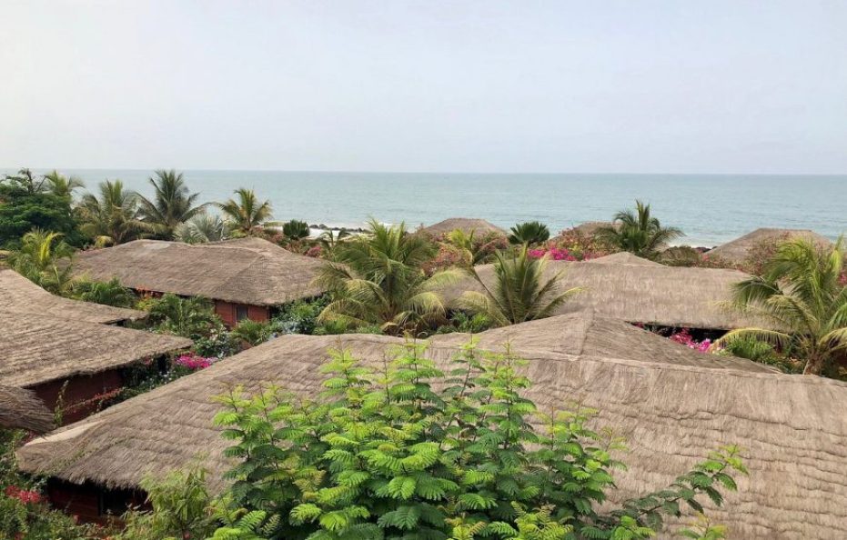 Royal Horizon Baobab