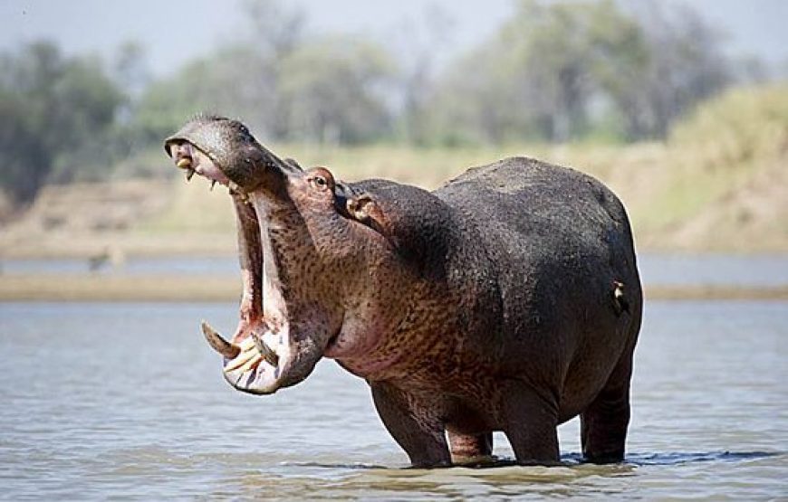 Namibia Highlights – 10 Days