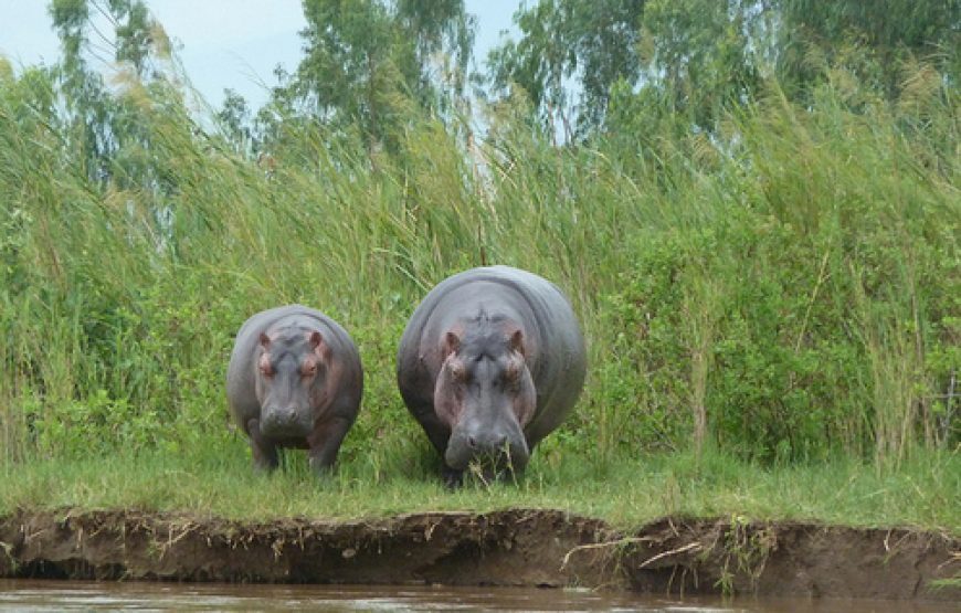 Discover Burundi – 7 Days