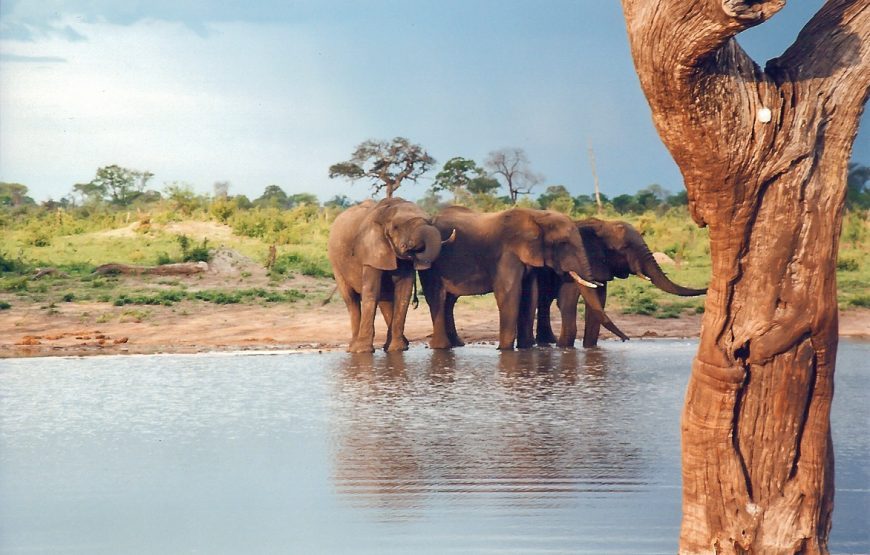 Amazing Zimbabwe – 10 Days