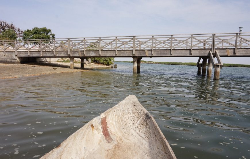 Dak‘Art and Senegal Discovery Tour – 9 Days