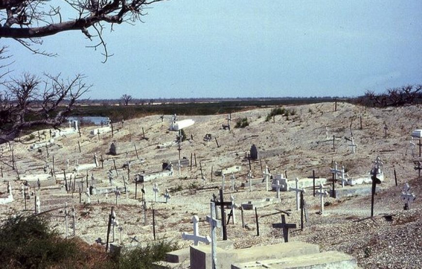 Dak‘Art and Senegal Discovery Tour – 9 Days