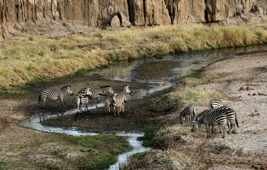 TANZANIA WILDLIFE, LAKE & CRATER 09 DAY SAFARI