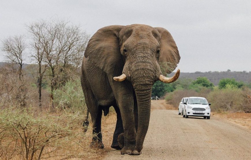 Exploring South Africa – 9 Days