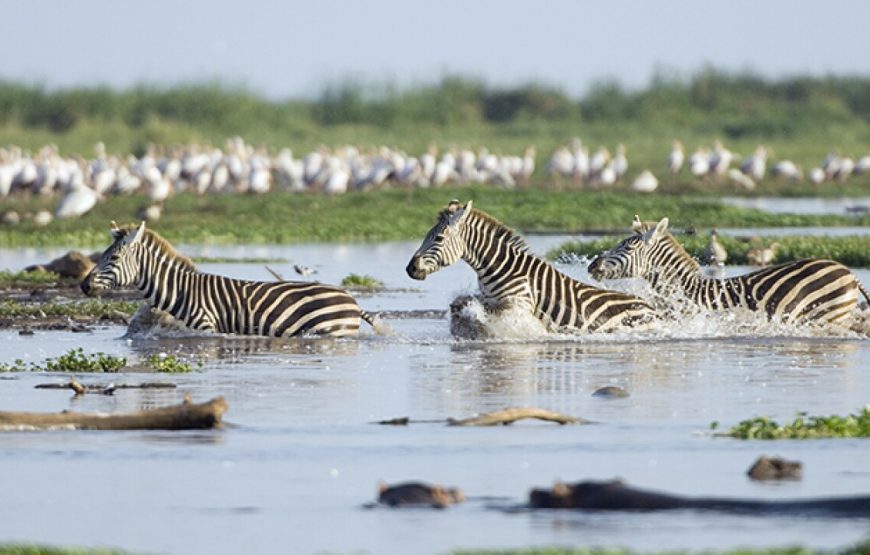 Kenya & Tanzania Classic Safari – 11 Days