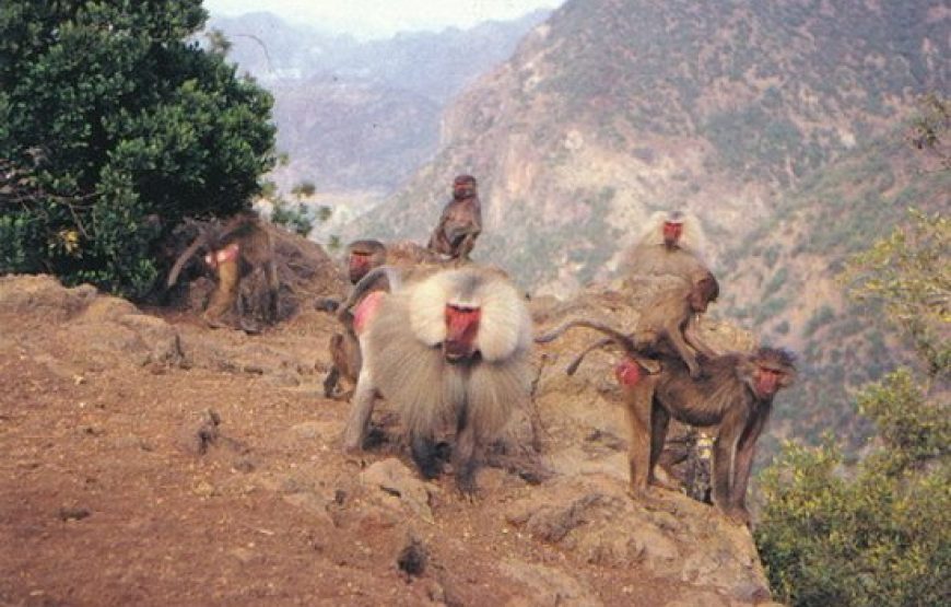 Cultural Tour of Djibouti, Sudan & Eritrea – 15 Days