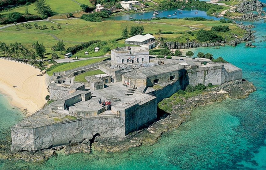 Gabon Gorilla Trekking & Democratic Republic of Congo