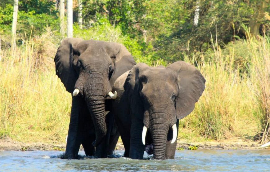 Malawi Tour and Safari – 9 Days