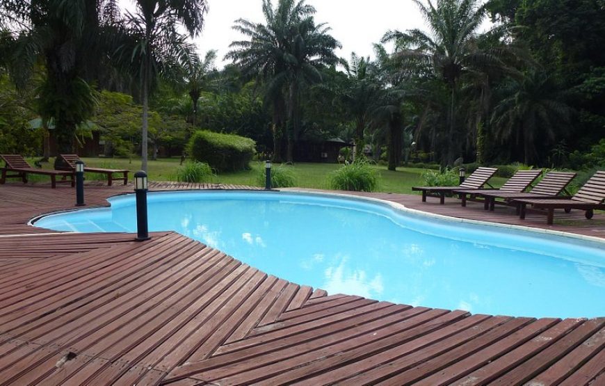 Gabon: Gorillas and More – 5 Days