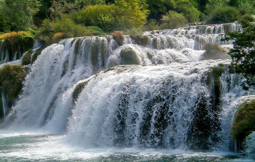 Cameroon Baaka Pygmy Tour