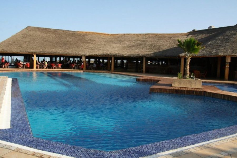 Royal Horizon Baobab