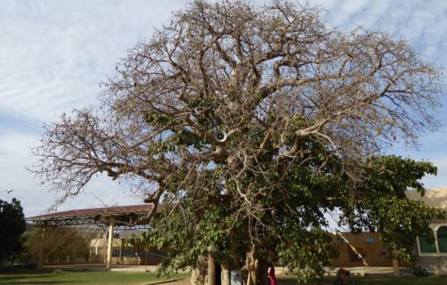 Cultural Tour of Djibouti, Sudan & Eritrea – 15 Days