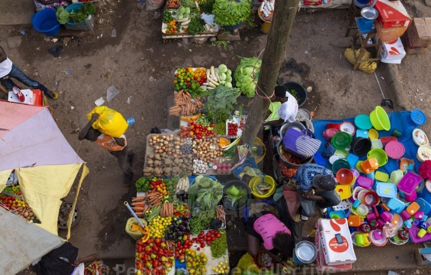 Discover Guinea – 7 Days