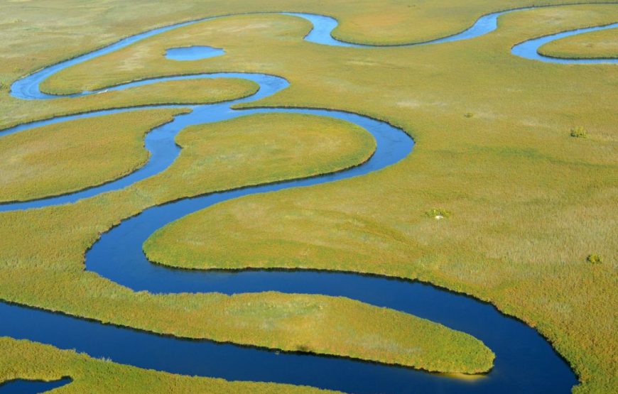 The Best Of Botswana –  11 Days