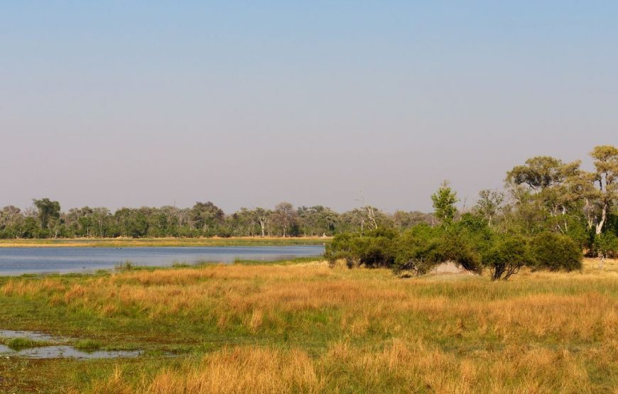 Botswana Family Safari – 12 Days