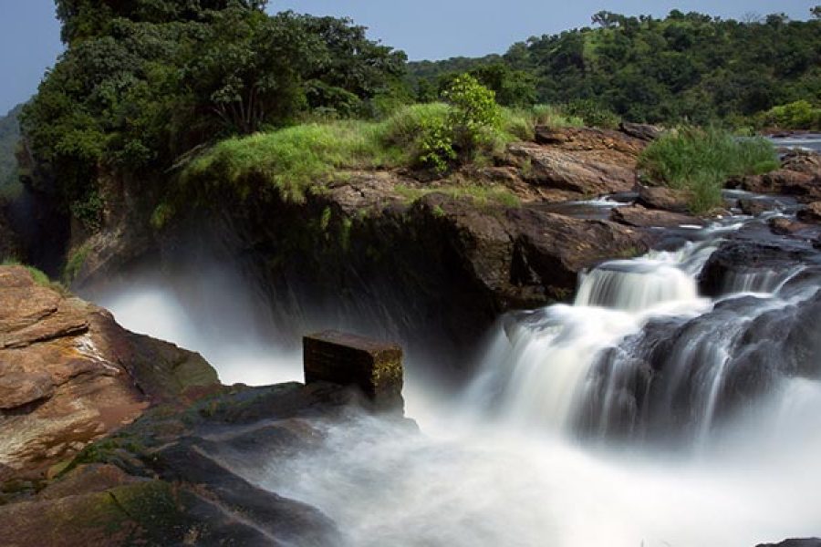 Uganda Safari & Chimpanzee Trek – 7 Days