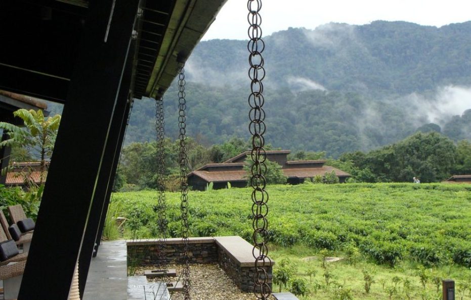 Nyungwe Forest Lodge