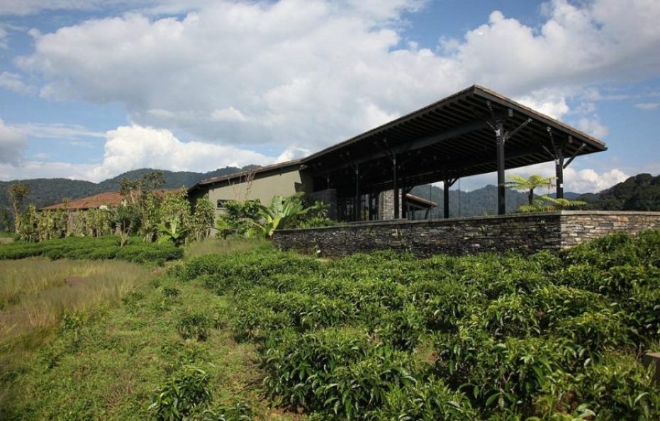 Nyungwe Forest Lodge