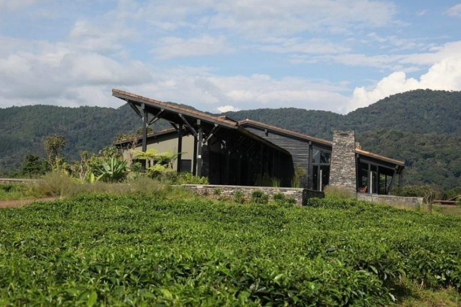 Nyungwe Forest Lodge