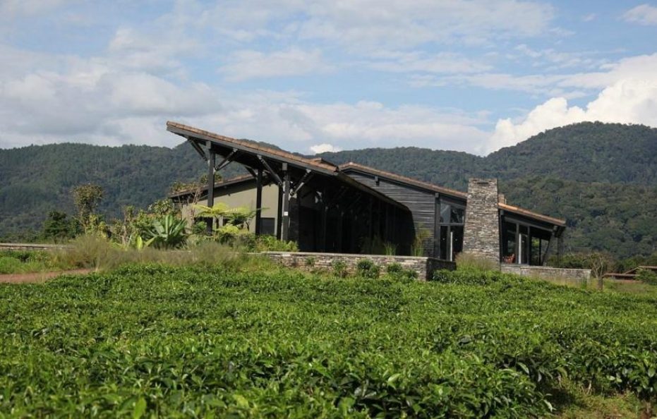 Nyungwe Forest Lodge