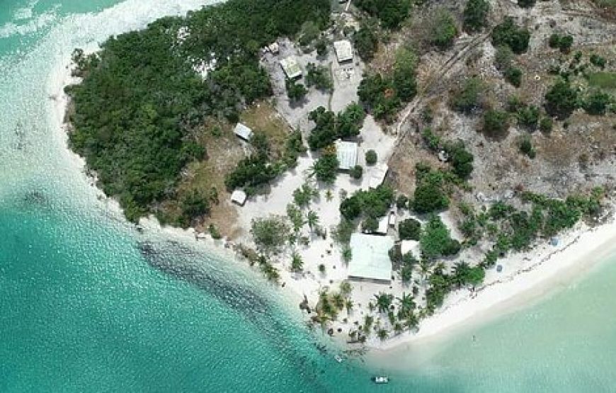 Gabon Gorilla Trekking & Democratic Republic of Congo